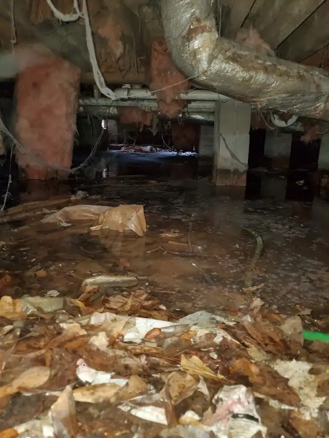 Crawl space flood assessment for Commercial Water Damage Restoration in Red Bank